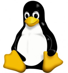 Preview Linux Kernel Version 6.9.1